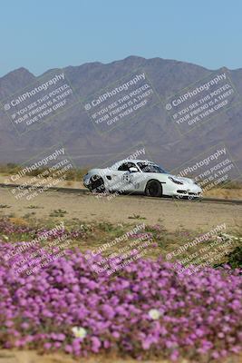 media/Jan-29-2023-PCA San Diego (Sun) [[aa0301ccc2]]/Yellow Group/Session 1 (Turn 15 Bloom)/